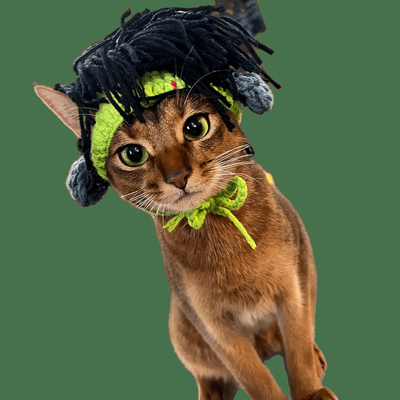 Rokistiil Naljakas kassimüts Karvutu kassi kostüüm Sfinksi peakatted Koer Devon Rex Punk Konis Kassitarvikud Sfinksi kassi rõivad