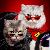 Cool zapanjujuće sunčane naočale za mačke za pse, male pse, naočale za štene, perzijske mačiće, potrepštine za putovanja na otvorenom, accesorios para gatos