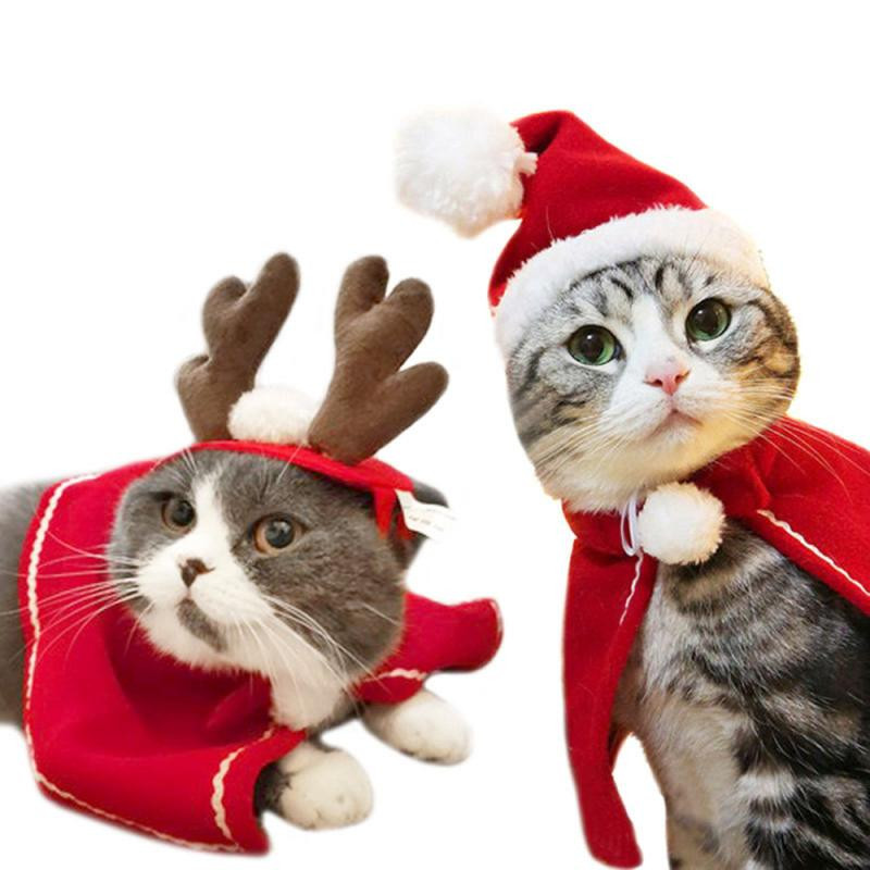 Domáce zvieratá, mačka, pes, šteňa, šatka, klobúk, plášť, čelenka, vianočné oblečenie, zimné kostýmy, darček, nový rok, Santa Claus, červená sada