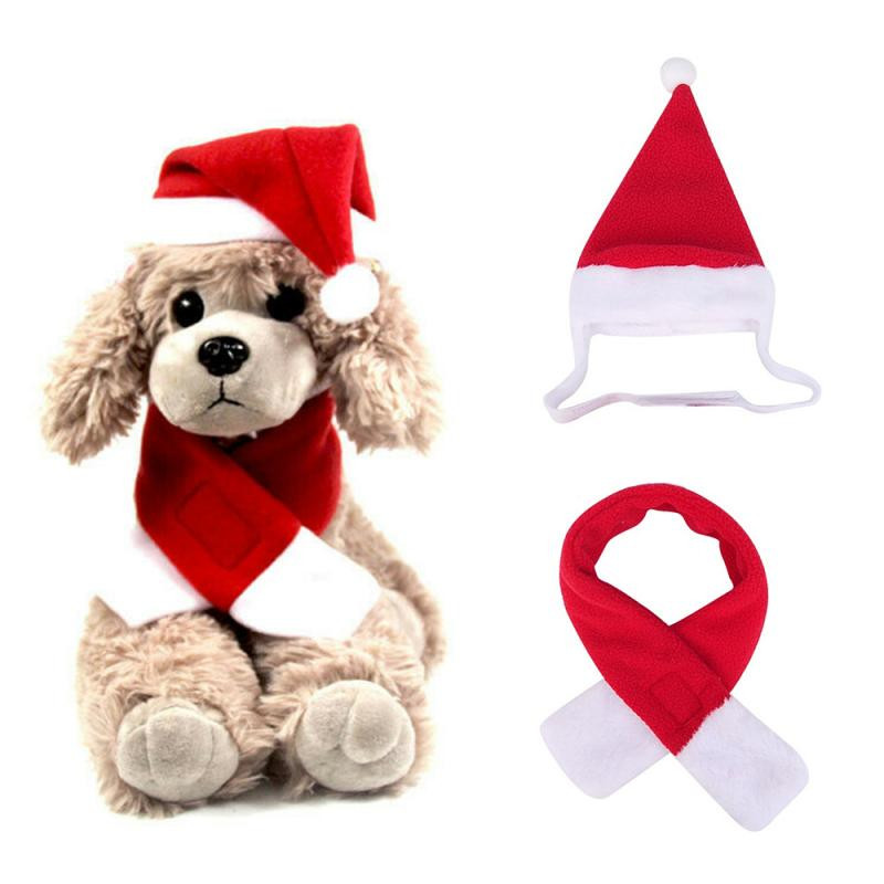 Domáce zvieratá, mačka, pes, šteňa, šatka, klobúk, plášť, čelenka, vianočné oblečenie, zimné kostýmy, darček, nový rok, Santa Claus, červená sada