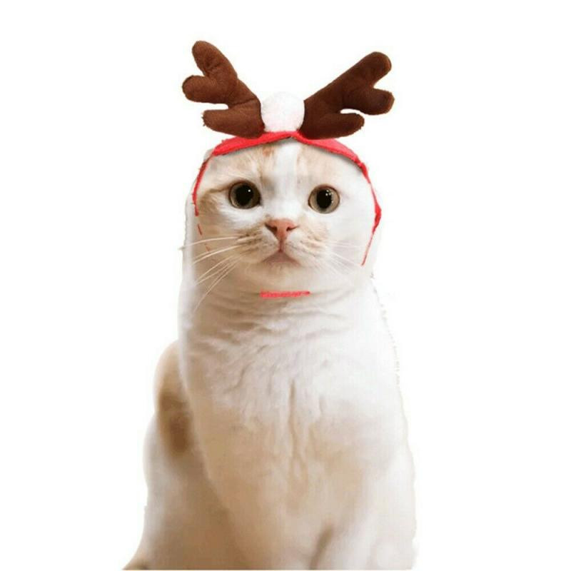 Domáce zvieratá, mačka, pes, šteňa, šatka, klobúk, plášť, čelenka, vianočné oblečenie, zimné kostýmy, darček, nový rok, Santa Claus, červená sada