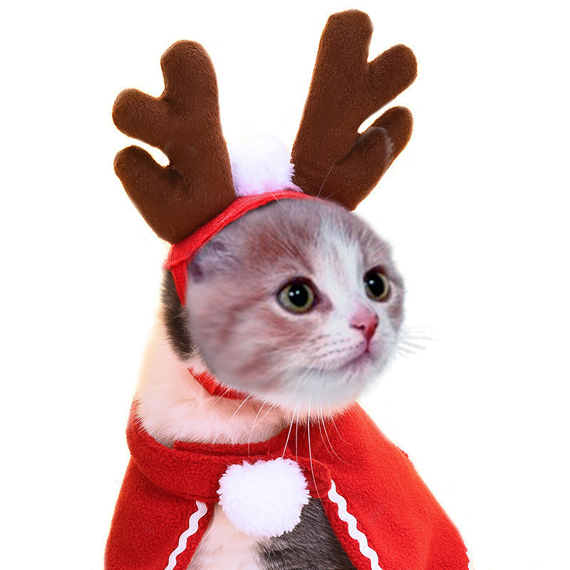 Domáce zvieratá, mačka, pes, šteňa, šatka, klobúk, plášť, čelenka, vianočné oblečenie, zimné kostýmy, darček, nový rok, Santa Claus, červená sada