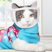 Praktiškas naminio gyvūnėlio snukis nuo įkandimo Reguliuojamas dirželis, kvėpuojantis, nesubraižantis mažo augintinio permatomo snukio priežiūros katės reikmenys