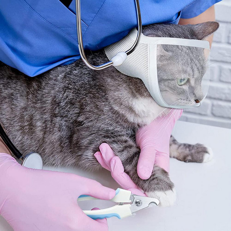 Praktiškas naminio gyvūnėlio snukis nuo įkandimo Reguliuojamas dirželis, kvėpuojantis, nesubraižantis mažo augintinio permatomo snukio priežiūros katės reikmenys