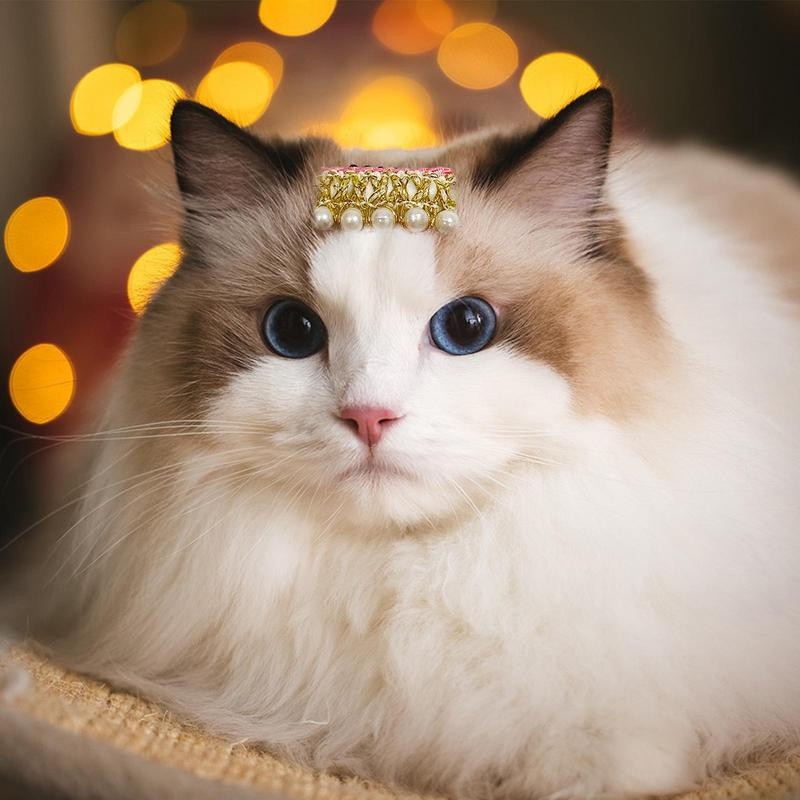 Plaukų segtukai šunims Bowknot Galvos apdangalai Naminių gyvūnėlių plaukų baretai katėms Mieli naminių gyvūnėlių priedai priežiūros reikmenys