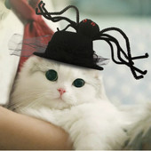 Čierna mašľa, pavúk, mačka, zábavná čiapka, nová pokrývka hlavy pre domáce zvieratá, halloweenska čiapka pre psa, čipkovaná sieťovaná ozdoba, dekorácia, veselá halloweenska párty, domáce potreby