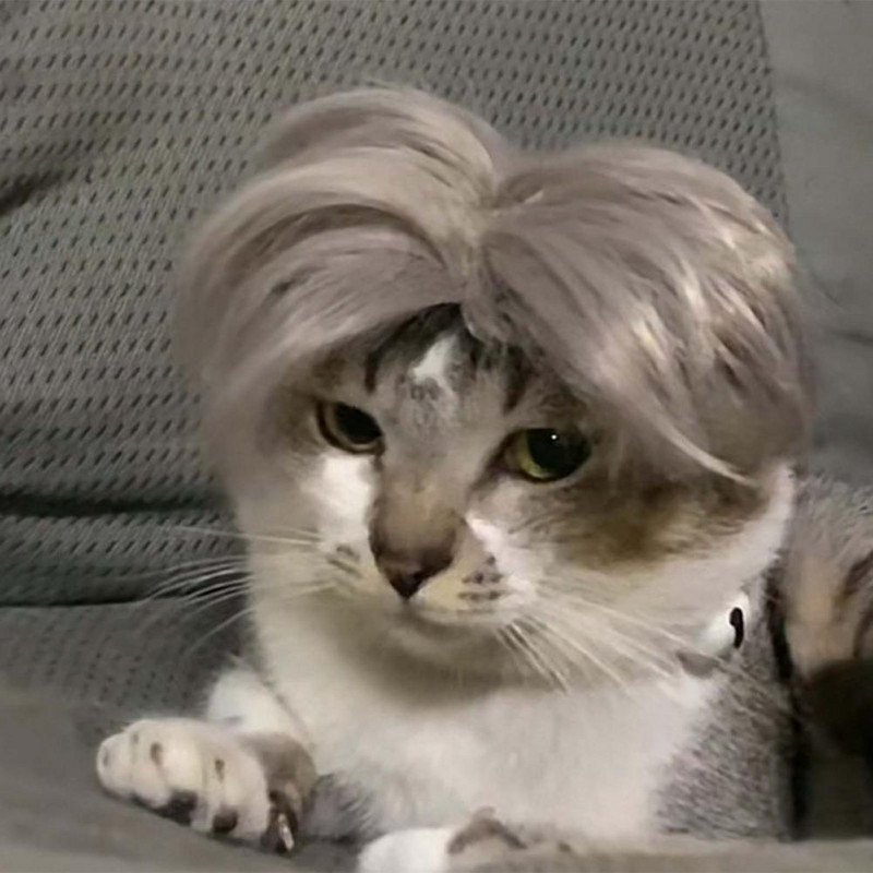 Hubane koeraparukas, keskmise lõhenemisega dekoratiivne mugav kassi juuksepael, lemmikloomade ristumise rekvisiidid