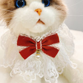 Uus lemmikloomakassi kaelarihm, printsessi stiilis pitsiga lemmiklooma tilgarätik rinnarätt, moodne lemmikloomatarbed