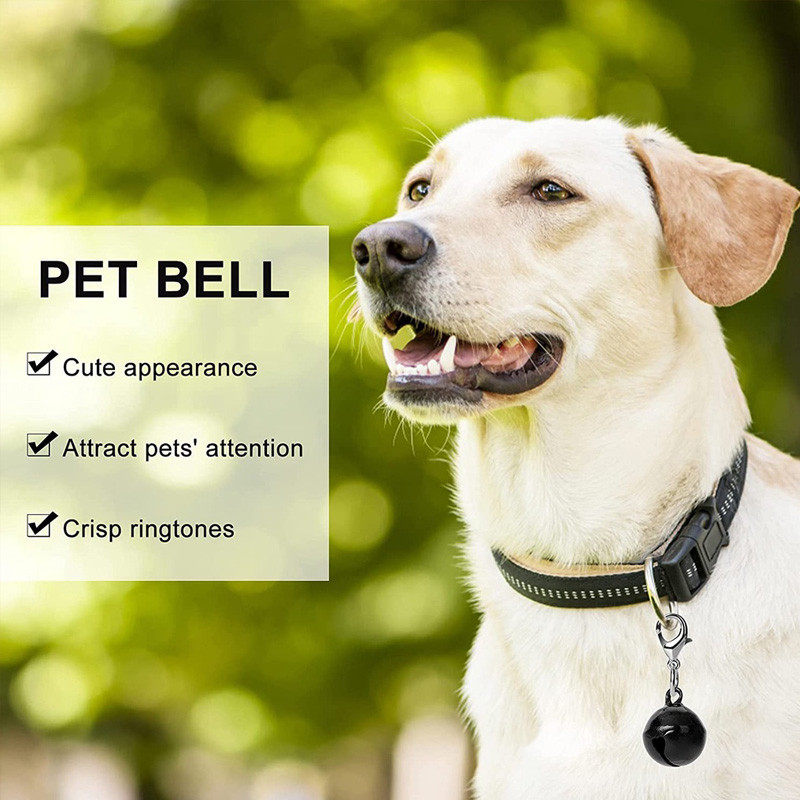 10 tk. Armas lemmiklooma kaelarihm, meisterdage kõlksuline kaunistus kassile, värvilised juhuslikud koeratarvikud