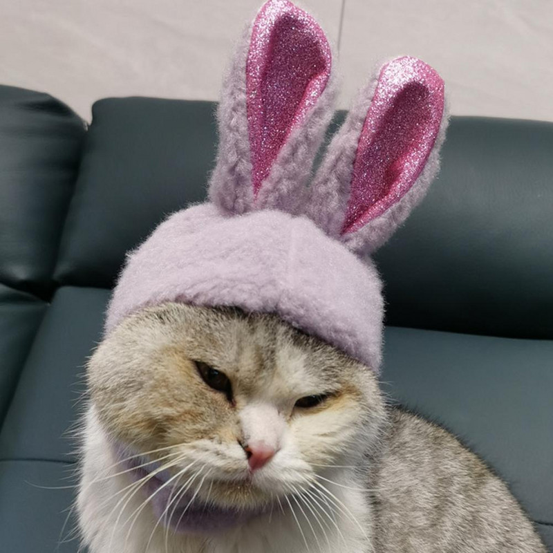 Animacinio filmo katės kepurė su putojančiomis zuikio ausimis, ypač minkšta, plaunama Cosplay naminių gyvūnėlių galvos apdangalų fotografavimo rekvizitai vakarėliui