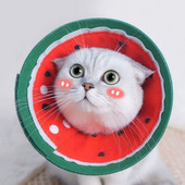 Pehmed Elizabethani kaelarihmad lakkumisvastased Elizabethani sõrmus praktilised kassikoonused lemmikloomadele pärast operatsiooni küünte lõikamiseks