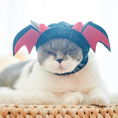 Smiješni ukrasi za kućne ljubimce Kapa Kostim Topla kapa od zeca Morski pas Pile Tigar Kit Pčela Žaba Cosplay kapa Plišana kapa za glavu Dodaci za kućne ljubimce Vruće