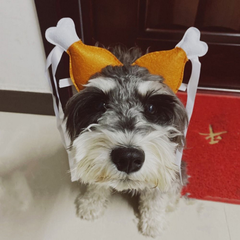 Pehme naljakas kanajala kujuga reguleeritav lemmiklooma peapael Lemmiklooma sünnipäevapeo juuksekaunistus peakate Koeratarbed