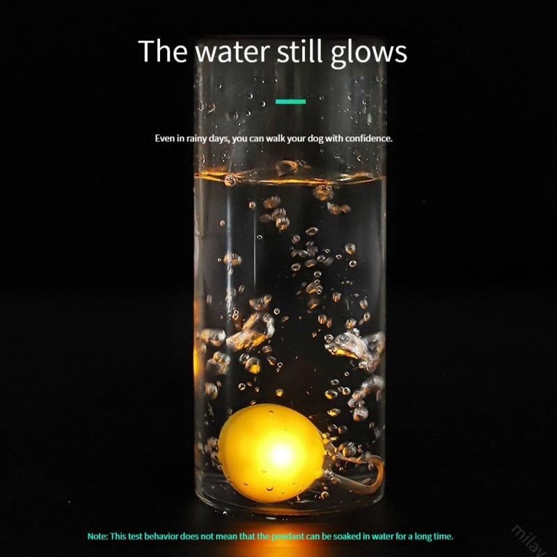 LED-valgusega koera kassi kaelarihm helendav rippvälklamp Lemmikloomajuhtmed Aksessuaarid Öine jalutamine lemmiklooma kaelarihma tarvikud