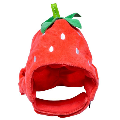 Pet Cap Fruit Hat kiegészítők macskáknak és kutyáknak
