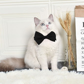 1 tk Reguleeritav koera kassi kikilips kutsika lemmikloomad kaelalips kassipoeg kassi koera kaelarihm lemmikloomatarbed väikesele keskmisele koerale kassi tarvik