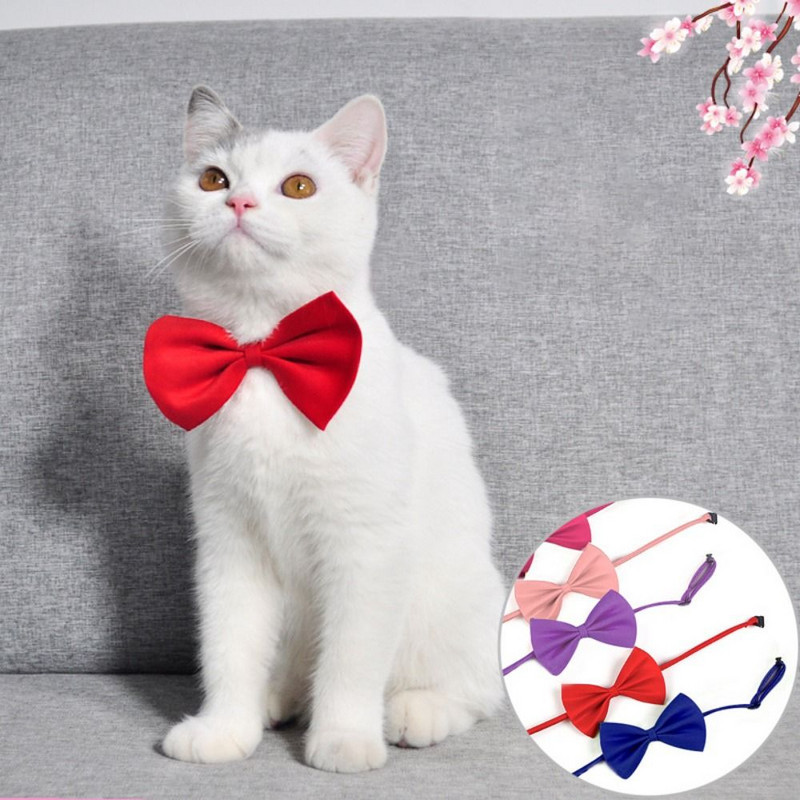 1 tk Reguleeritav koera kassi kikilips kutsika lemmikloomad kaelalips kassipoeg kassi koera kaelarihm lemmikloomatarbed väikesele keskmisele koerale kassi tarvik