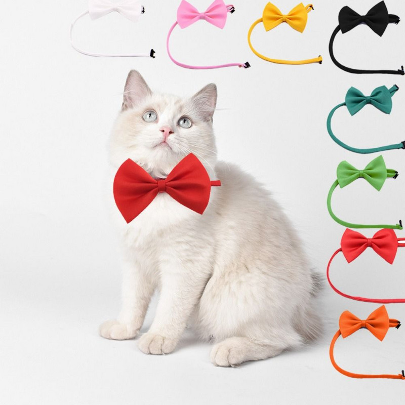 1 tk Reguleeritav koera kassi kikilips kutsika lemmikloomad kaelalips kassipoeg kassi koera kaelarihm lemmikloomatarbed väikesele keskmisele koerale kassi tarvik