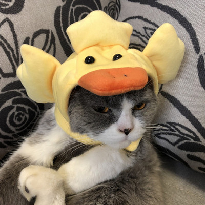 Funny Pet Dog Pet Cap Costume Pălărie Accesorii Cosplay pentru petrecere Accesorii foto Crăciun pentru cap drăguț în formă de animal