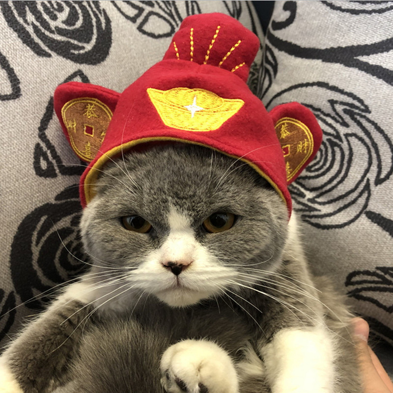 Smiješni ljubimac Pas Mačka Kapa Kostim Šešir Dodaci za zabavu Cosplay Rekviziti za fotografije Pokrivala za glavu Pokrivala za glavu u obliku slatke životinje