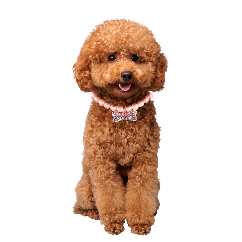 Kassi pärli kaelakee koera luust ripats kaelarihma imitatsiooniga pärlilindiga vibusõlme reguleeritav lemmiklooma kaelarihm