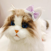 5 tk/komplekt Armsad koera juukseklambrid kutsika juuksenõel Pet Cat Käsitsi valmistatud juuksenõel Lemmiklooma vibu juuste aksessuaarid Mitmevärviline pikk villane lemmiklooma peakate