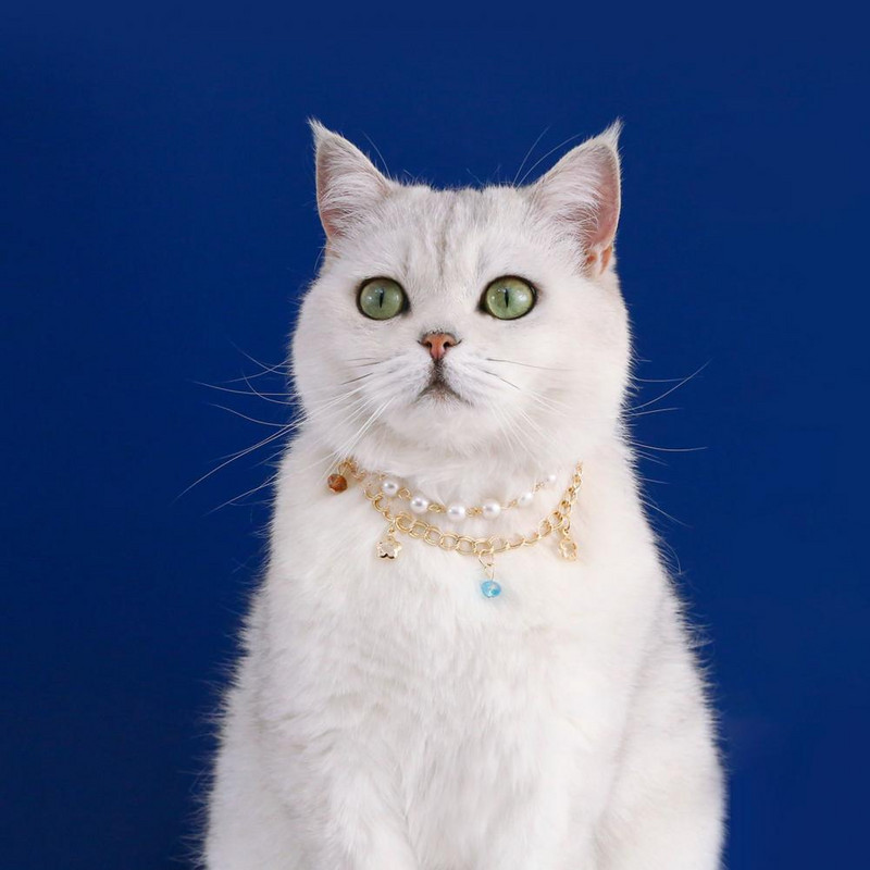 Õrn lemmiklooma kaelakee, reguleeritav sulamist kassi kaelarihma rant Faux Pearl kivist kaunistused koera kaela rõngas lemmiklooma ehted