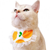 Kassi pitskrae Multifilm Võrgustik Pits rinnatükk Lemmiklooma lilleline puuvillane rinnatükk kaelariided süljerätik Lemmiklooma kolmnurk sall Lemmikloomatarvikud