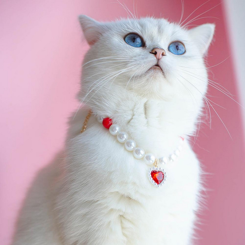 Atraktiivne lemmiklooma kaelakee Võluv kassi ripatsiga kaelakee koos pikendusketiga allergiavaba lemmiklooma kaelakee kaelarihm Lemmikloomatarvikud