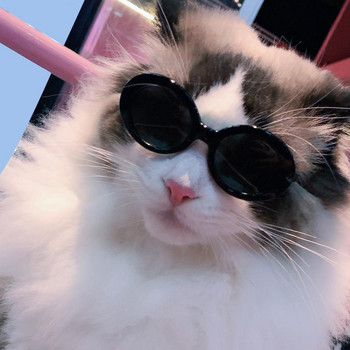 Μόδα γυαλιά ηλίου κατοικίδιων ζώων Μασίφ γάτα για μικρό σκύλο Γυαλιά οράσεως για κουτάβι Αστεία καθολικά γυαλιά κατοικίδιων ζώων Προμήθειες για κατοικίδια