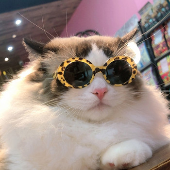 Γυαλιά ηλίου Cat Dogs Αστεία γυαλιά κατοικίδιων ζώων Στρογγυλός φακός Πλαστικός σκελετός Κλασικό ρετρό γυαλιά ηλίου Κοστούμια Cosplays Αξεσουάρ