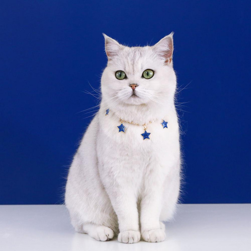 Kačių karoliai Kūrybiški naminių gyvūnėlių karoliai Blizgūs naminiai šunys katės širdies pakabukai papuošalai karoliai naminių gyvūnėlių reikmenys