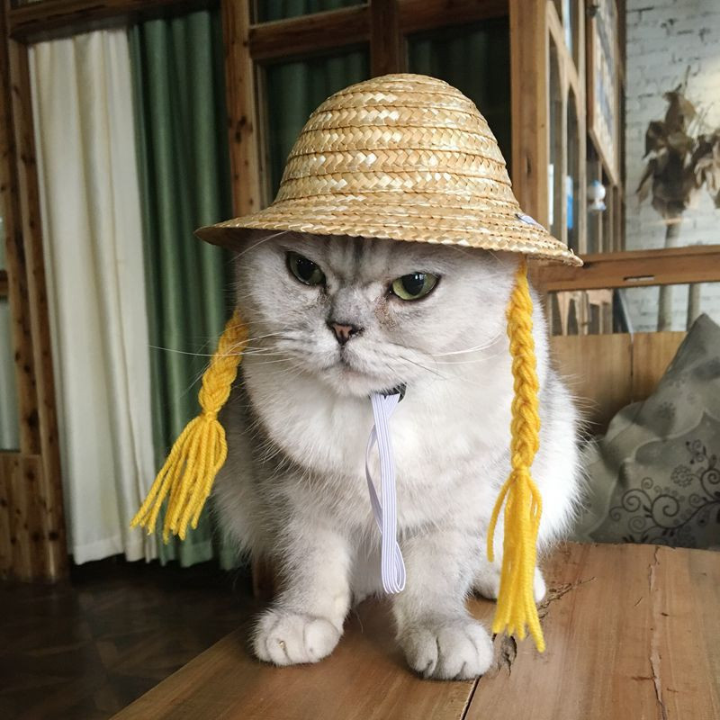 Modni Cosplay Farmer šešir Sunbonnet Doggy Hoodie Pokrivala za glavu Dodaci Šešir za sunčanje Mačka Kapa Kapa za pse Kapa za kućne ljubimce Šešir Slamnati šešir Oprema za kućne ljubimce