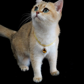 Κοσμήματα γιακά γατών με στρας κοσμήματα Pretty Pet Cat Collar Fine Workmanship Dress Up