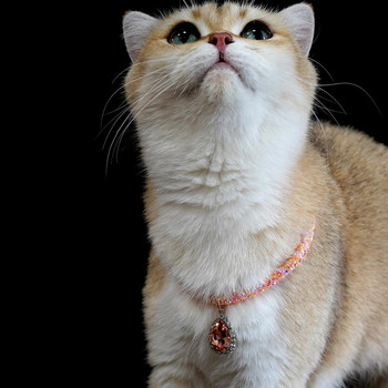 Κοσμήματα γιακά γατών με στρας κοσμήματα Pretty Pet Cat Collar Fine Workmanship Dress Up