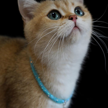 Κολιέ γάτας Κολιέ για κατοικίδια Γυαλιστερό κομψό, εντυπωσιακό ελκυστικό κολάρο για κατοικίδια για κατοικίδια, κοσμήματα για κατοικίδια