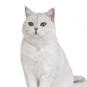 Dress Up Smooth Pet Cat Dog Inimă Pandantiv Colier de perle false Accesorii pentru animale de companie