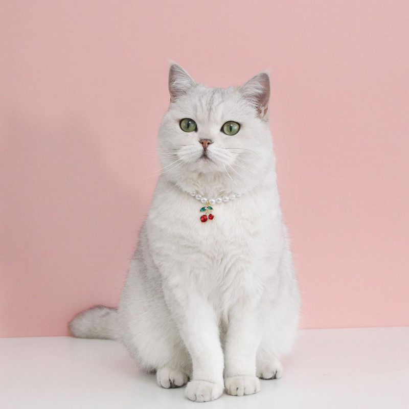 Dress Up Smooth Pet Cat Dog Inimă Pandantiv Colier de perle false Accesorii pentru animale de companie