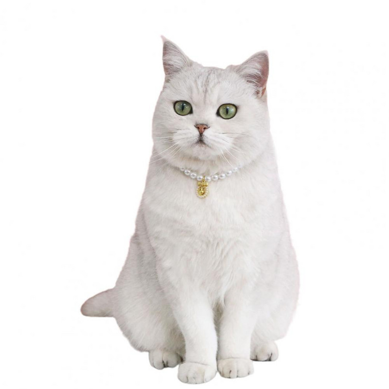 Kassi kaelaring Päris kerge kassi kaelakee Lemmiklooma Kassi Koera Kirsi ripats Võltspärlitest kaelarihm Lemmikloomatarvikud