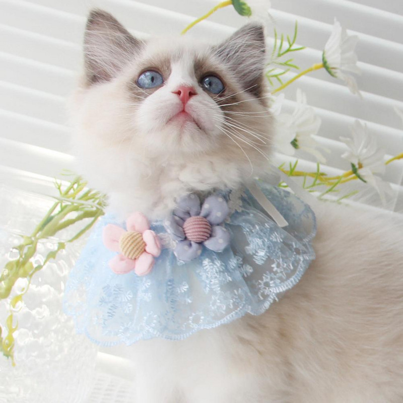 1 tk Pet Cat Princess Style pits kaelarihm Lillekaunistus Kutsika kaelarihm Lemmikloomatarbed kutsika kassipoja tarvikud