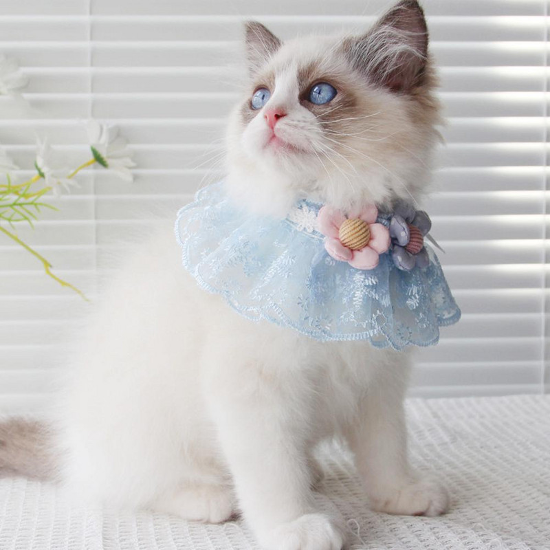 1 tk Pet Cat Princess Style pits kaelarihm Lillekaunistus Kutsika kaelarihm Lemmikloomatarbed kutsika kassipoja tarvikud