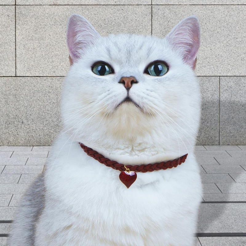 Naminių gyvūnėlių karoliai Puikus Kitty Puppy Print Kaklo dirželis Naminių gyvūnėlių fotografijos atrama Akį traukiantis augintinio kaklo dirželis