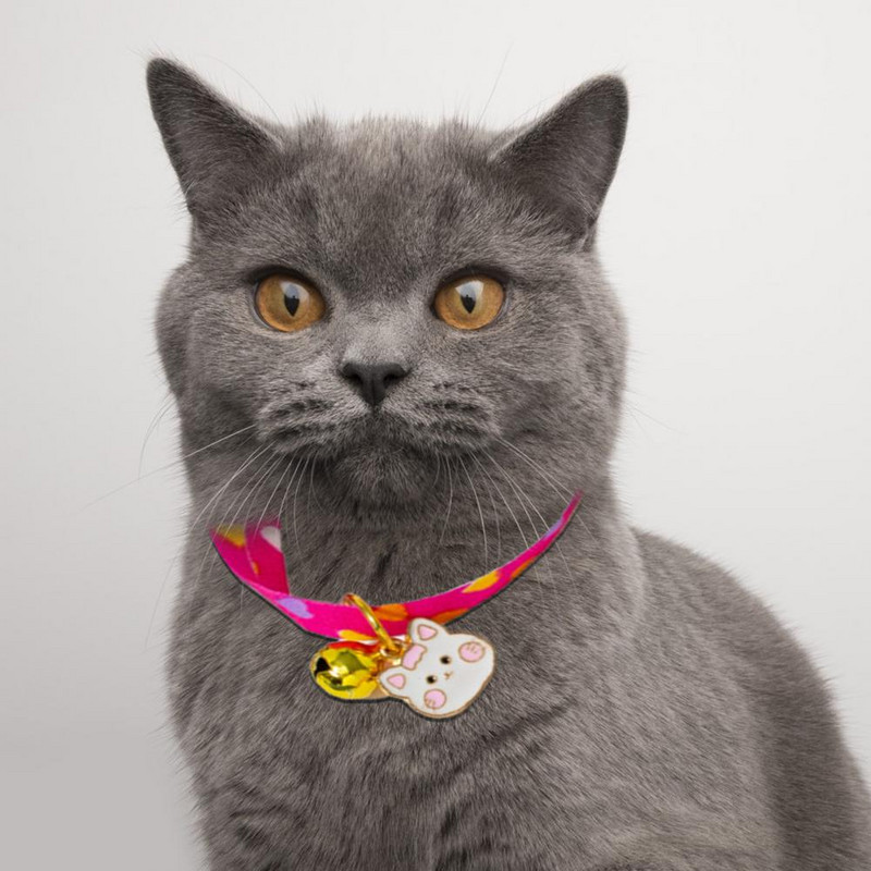 Lemmiklooma koera kassi kellukaelarihmad kassi kaelarihm lemmiklooma kaelarihm Multikas ripats lemmiklooma kaelarihm fotograafia rekvisiidid lemmiklooma kaelakee kassi kaelarihm