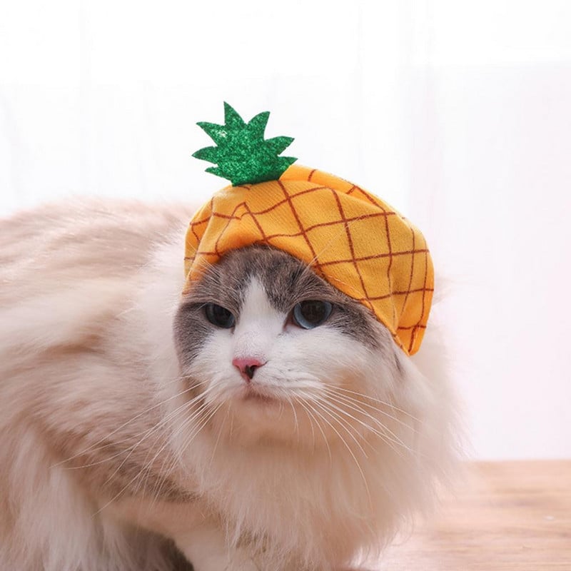 Kisállat kalap lélegző kreatív forma Szuper aranyos allergiamentes Könnyen viselhető dekoratív, nem szőtt szövet, gyümölcs témájú kisállat sapka Sun Prot