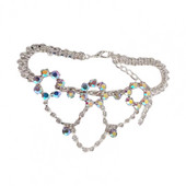 Kutsika kaelakee metallist pandlaga reguleeritav peokleit Lemmikkivist kaelakee ehted koeratarbed