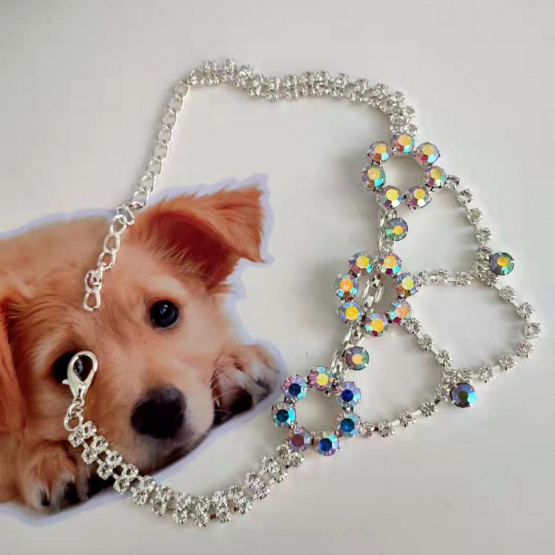 Kutsika kaelakee metallist pandlaga reguleeritav peokleit Lemmikkivist kaelakee ehted koeratarbed