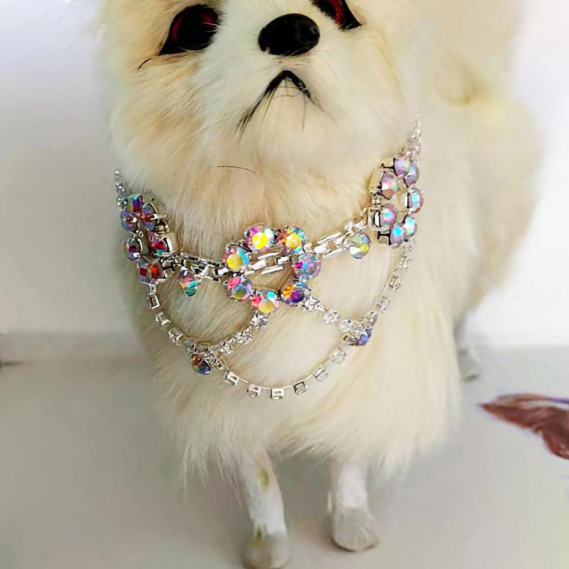 Kutsika kaelakee metallist pandlaga reguleeritav peokleit Lemmikkivist kaelakee ehted koeratarbed