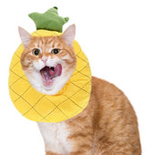 Προμήθειες για κατοικίδια ζώα Legendog Pet Cat Collar Μαλακό βαμβακερό κάλυμμα κεφαλιού που γλείφει Χαριτωμένο αβοκάντο ροδάκινο ανανάς σε σχήμα φρούτου