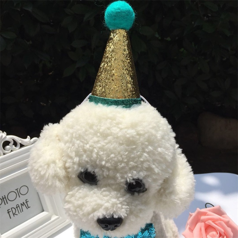 Kassi koera kiki sünnipäevamütsi komplekt Lemmikloomakaunistustarvikud Väikeste lemmikloomade tarvikud Sünnipäevakübara Sünnipäeva kikilipsu kaunistuste komplekt