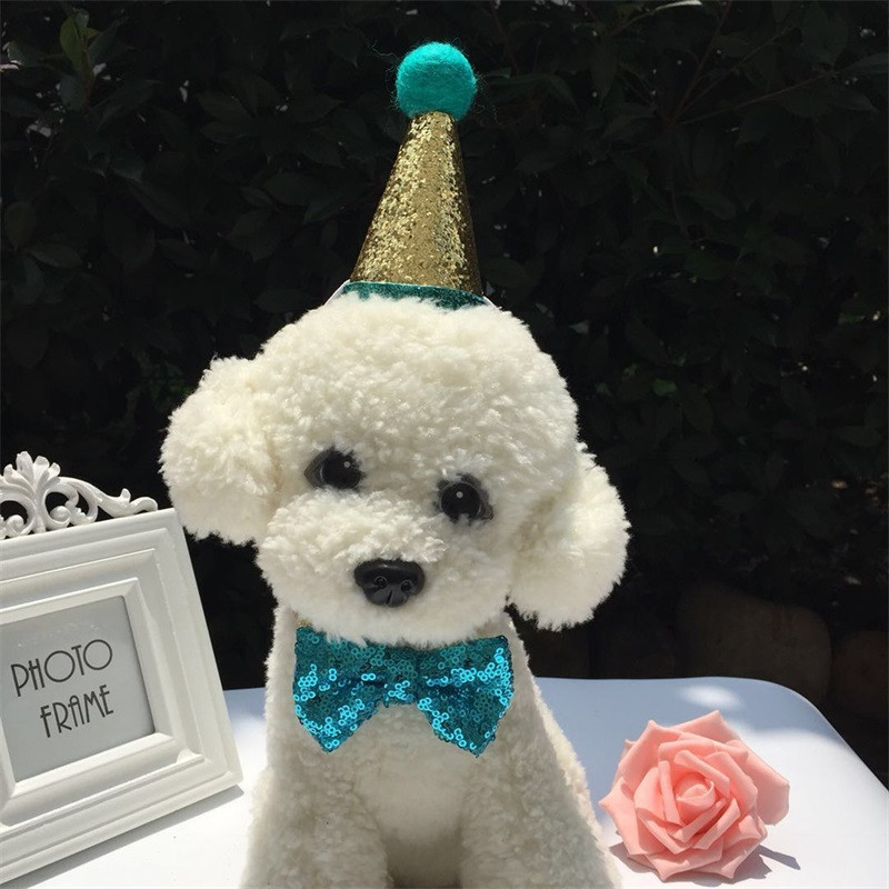 Kassi koera kiki sünnipäevamütsi komplekt Lemmikloomakaunistustarvikud Väikeste lemmikloomade tarvikud Sünnipäevakübara Sünnipäeva kikilipsu kaunistuste komplekt